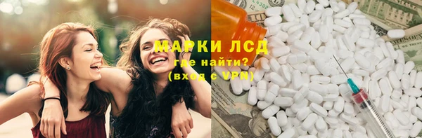 PSILOCYBIN Покачи