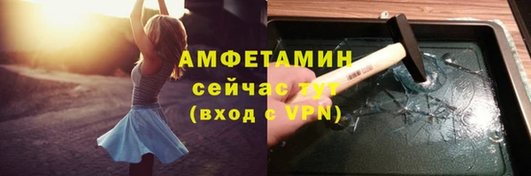 PSILOCYBIN Покачи