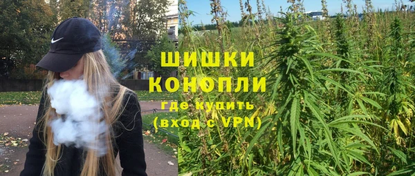 PSILOCYBIN Покачи