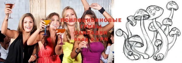 ALPHA PVP Беломорск