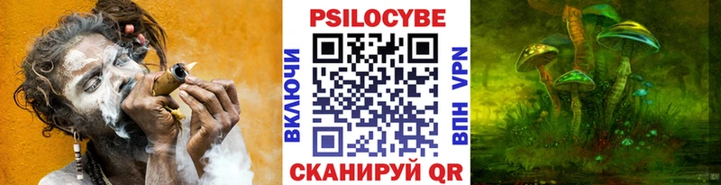 Псилоцибиновые грибы Psilocybine cubensis  Ужур 